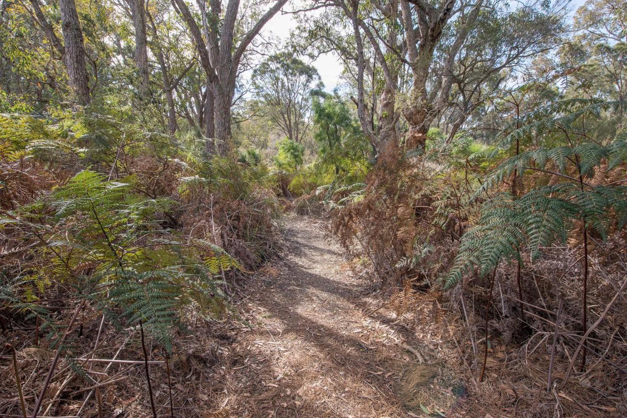 Yelverton Brook Conservation Sanctuary Metricup 外观 照片