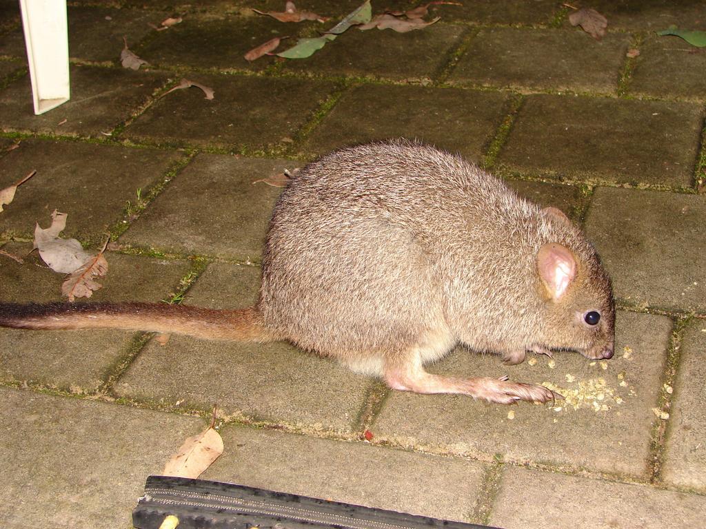 Yelverton Brook Conservation Sanctuary Metricup 外观 照片