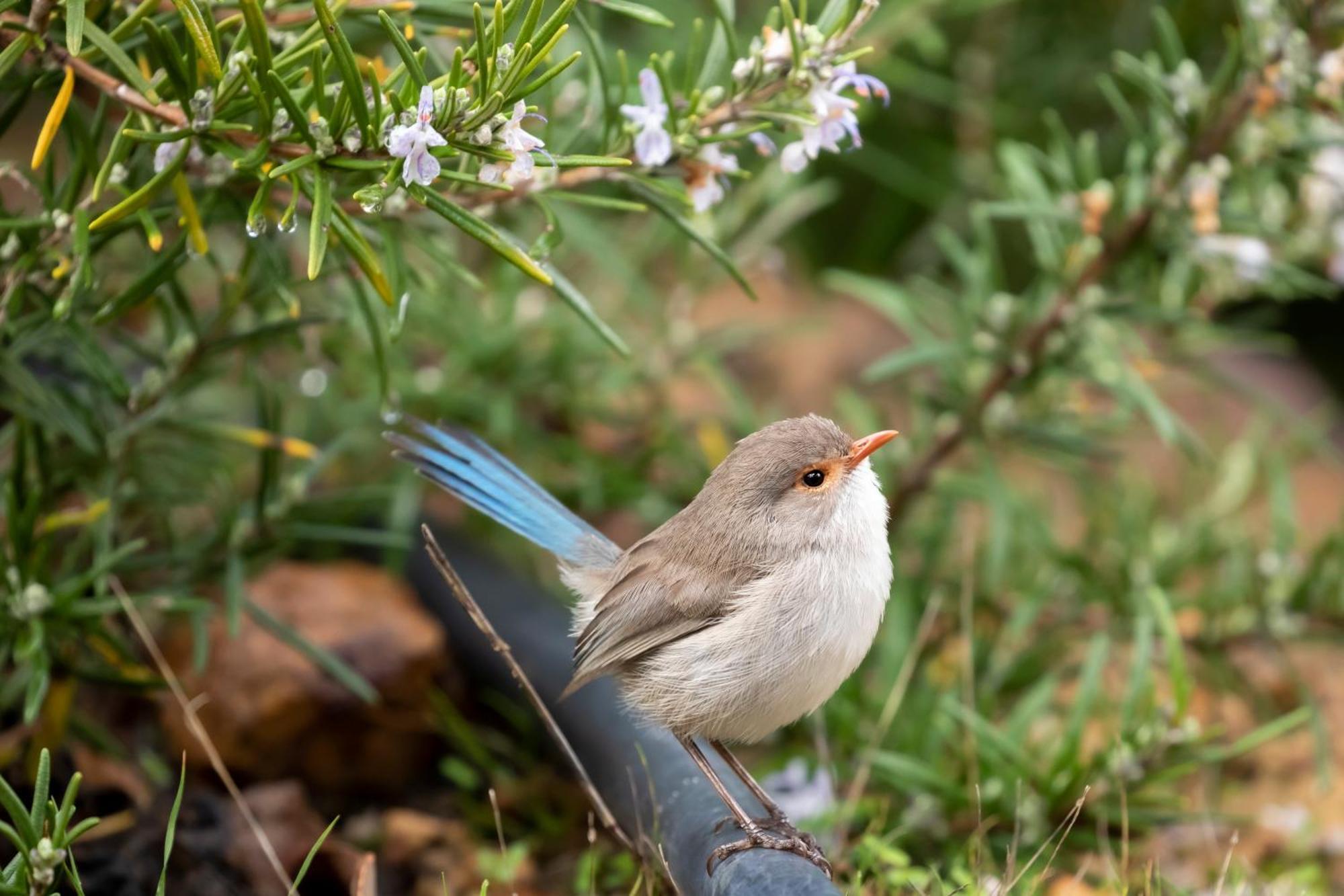 Yelverton Brook Conservation Sanctuary Metricup 外观 照片