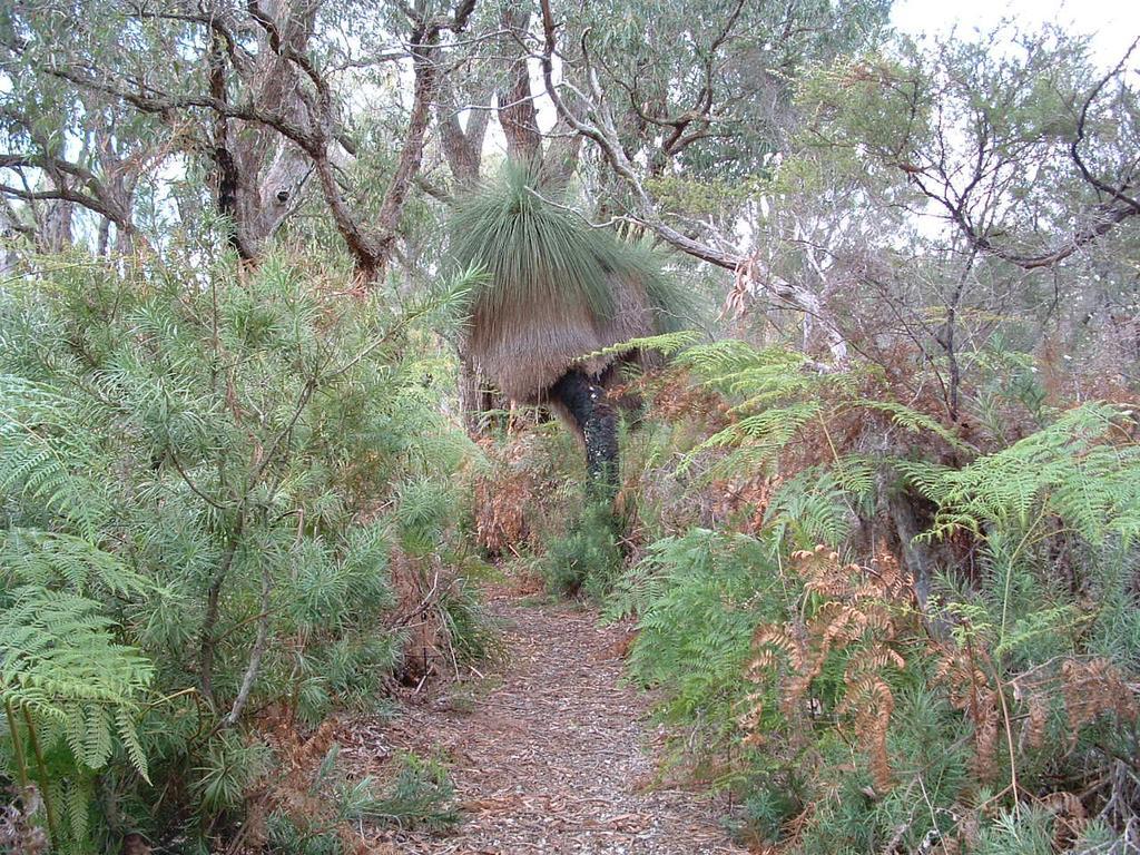 Yelverton Brook Conservation Sanctuary Metricup 外观 照片